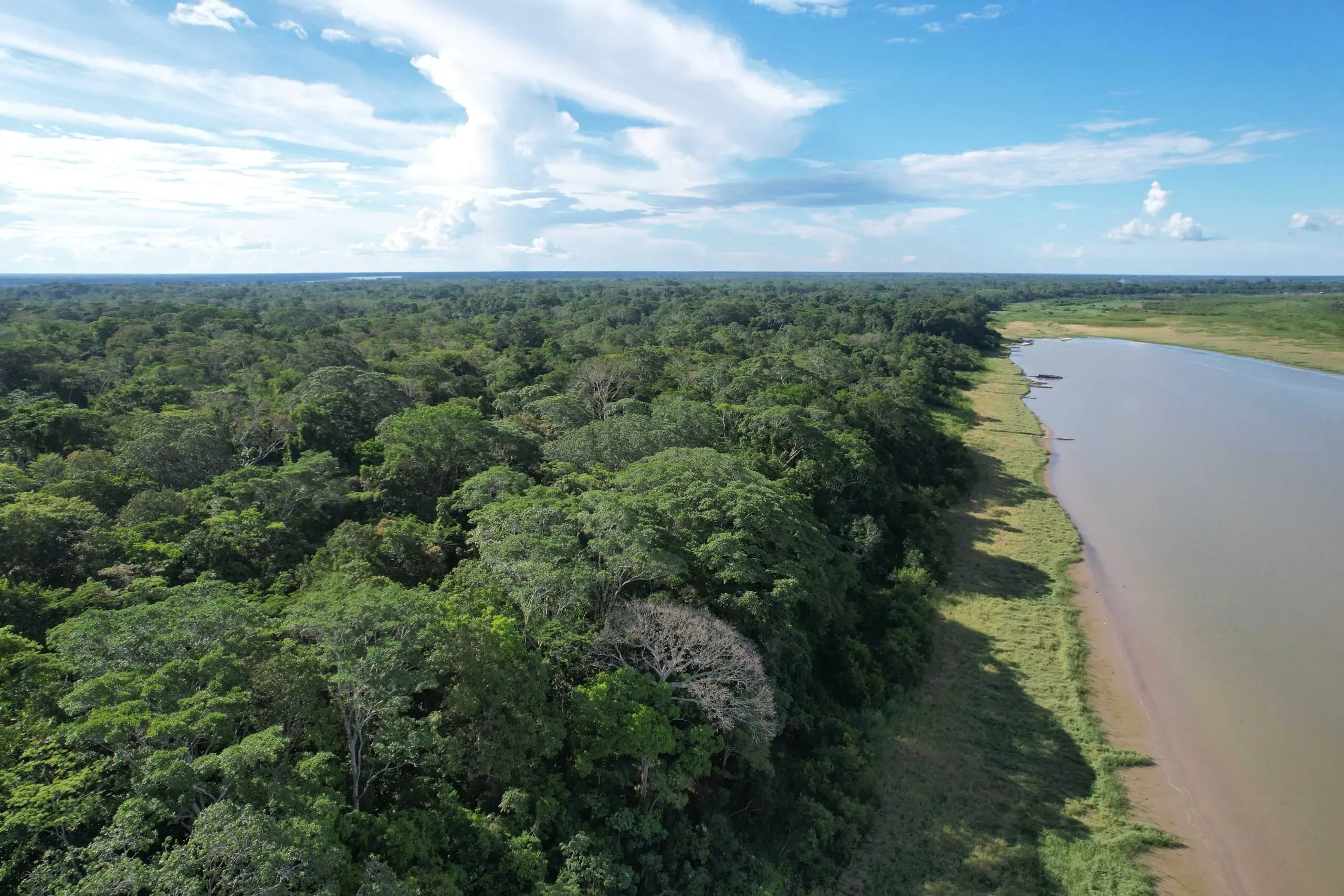 peru amazon rainforest