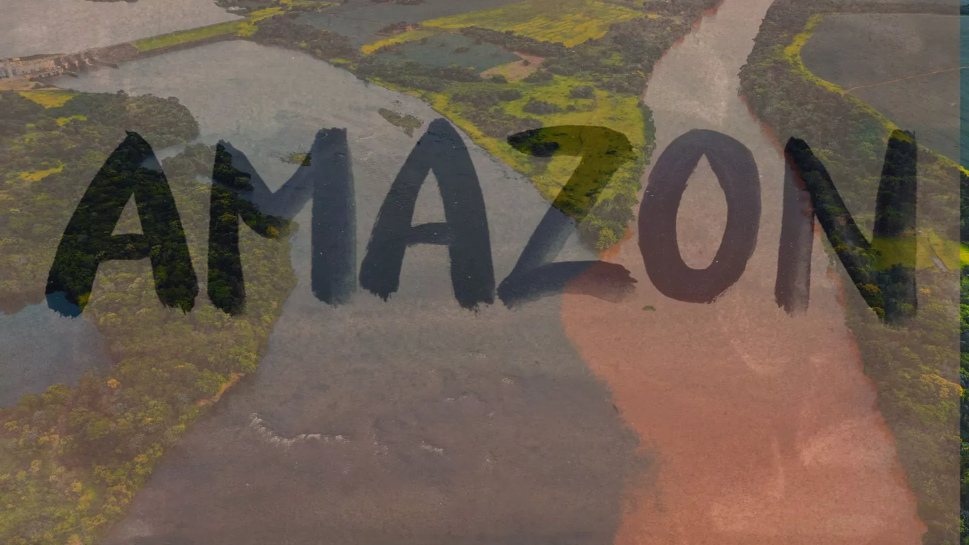 Amazon Rainforest