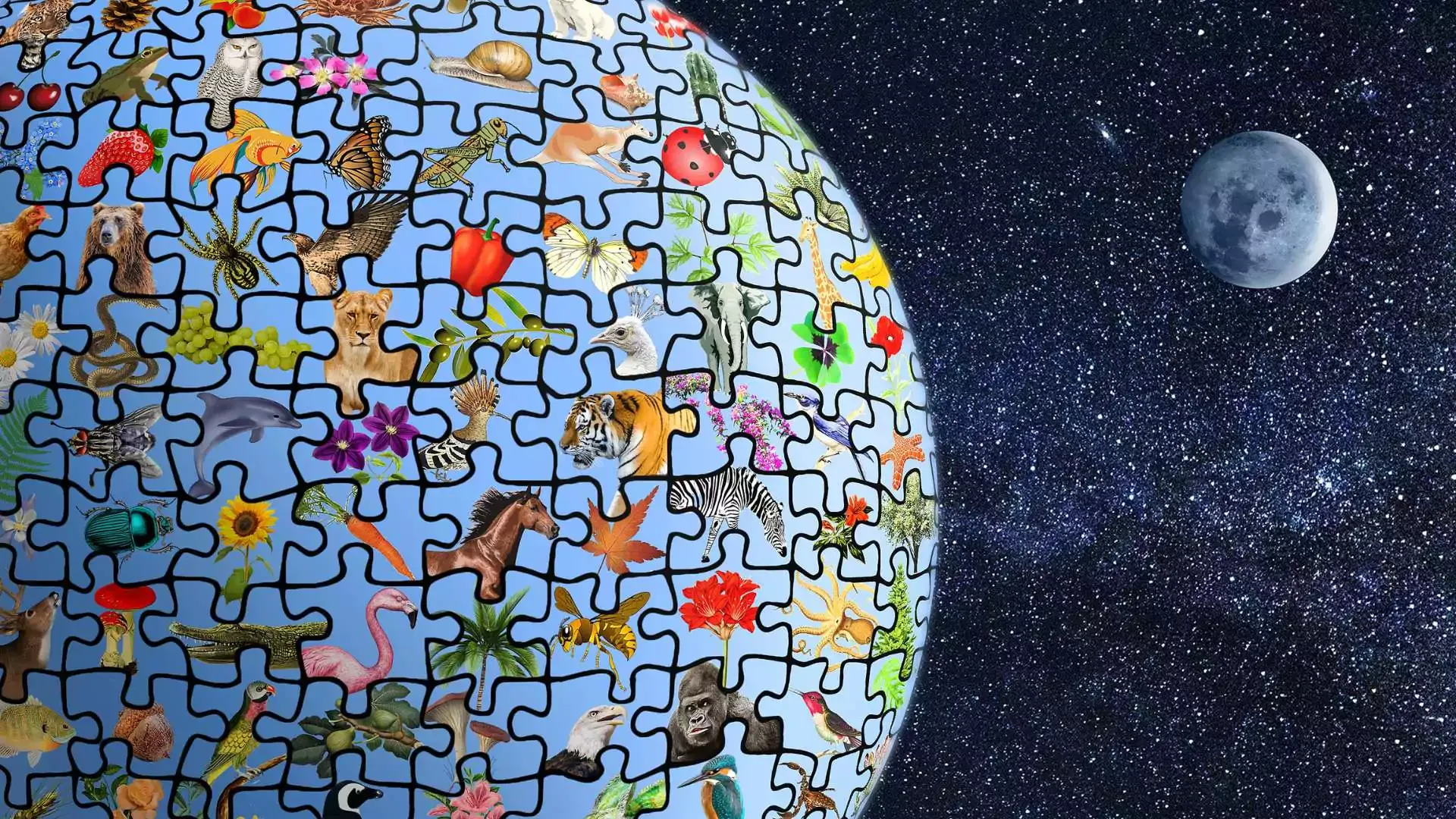 Biodiversitätsgutschriften