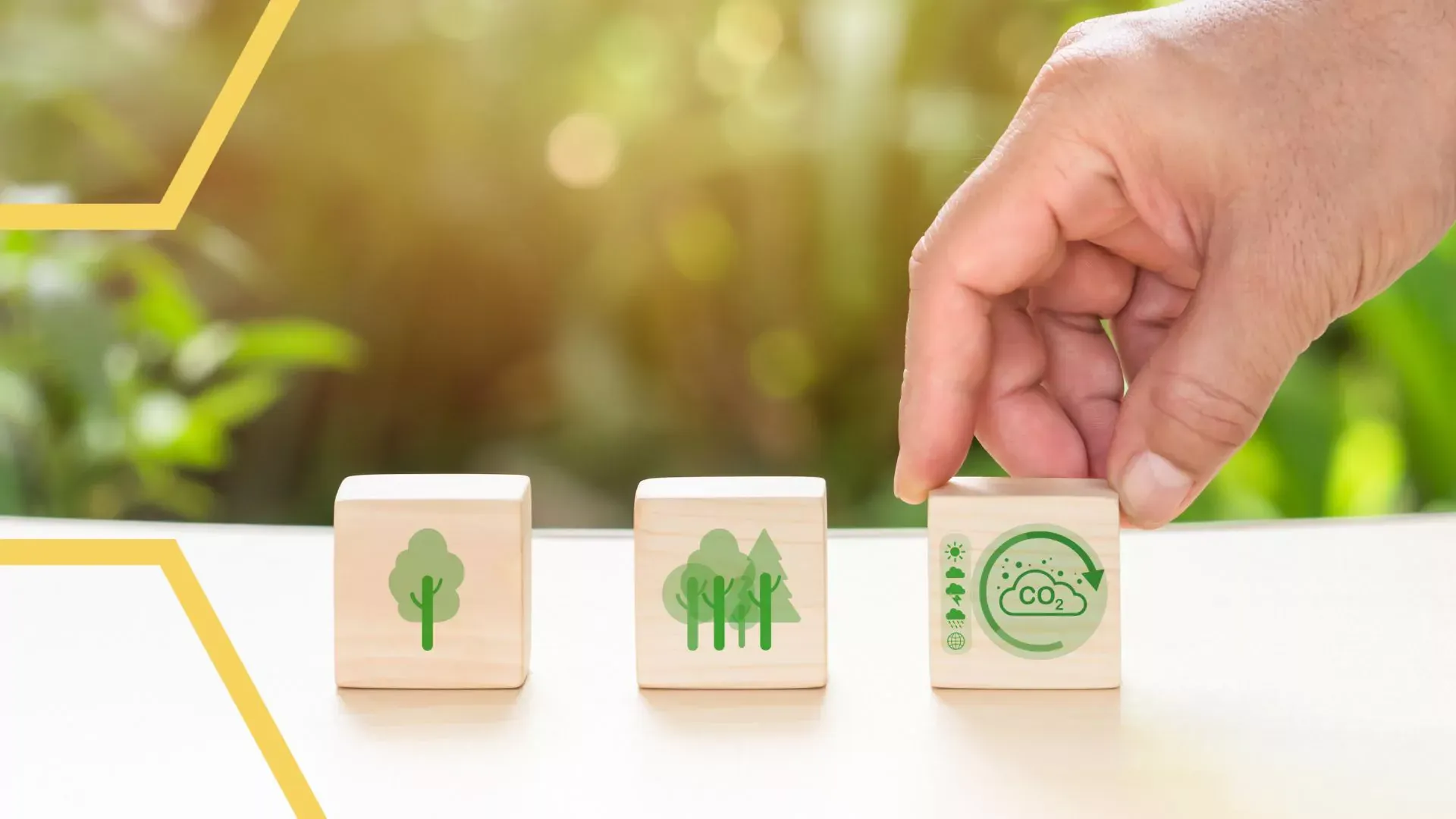 Strategie zum Schutz des Regenwaldes