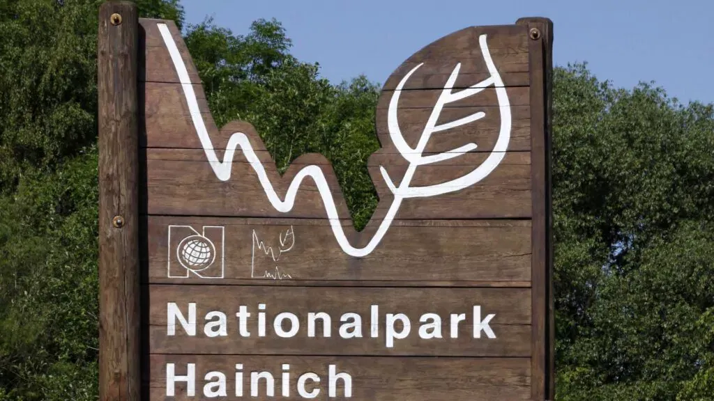 Deutschlands Wälder sind voller Mythen, besonders der Harzer Wald in Deutschland