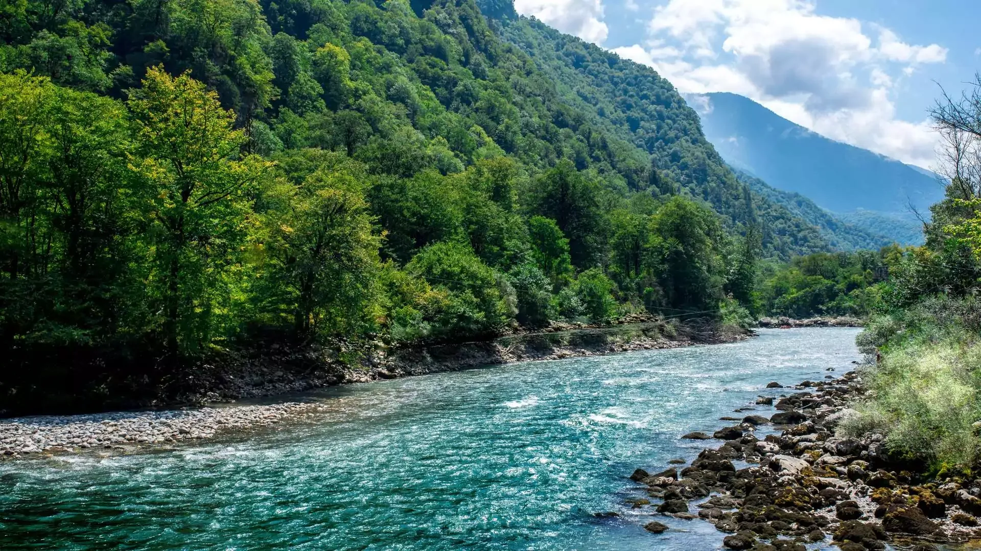 Keeping the environment clean