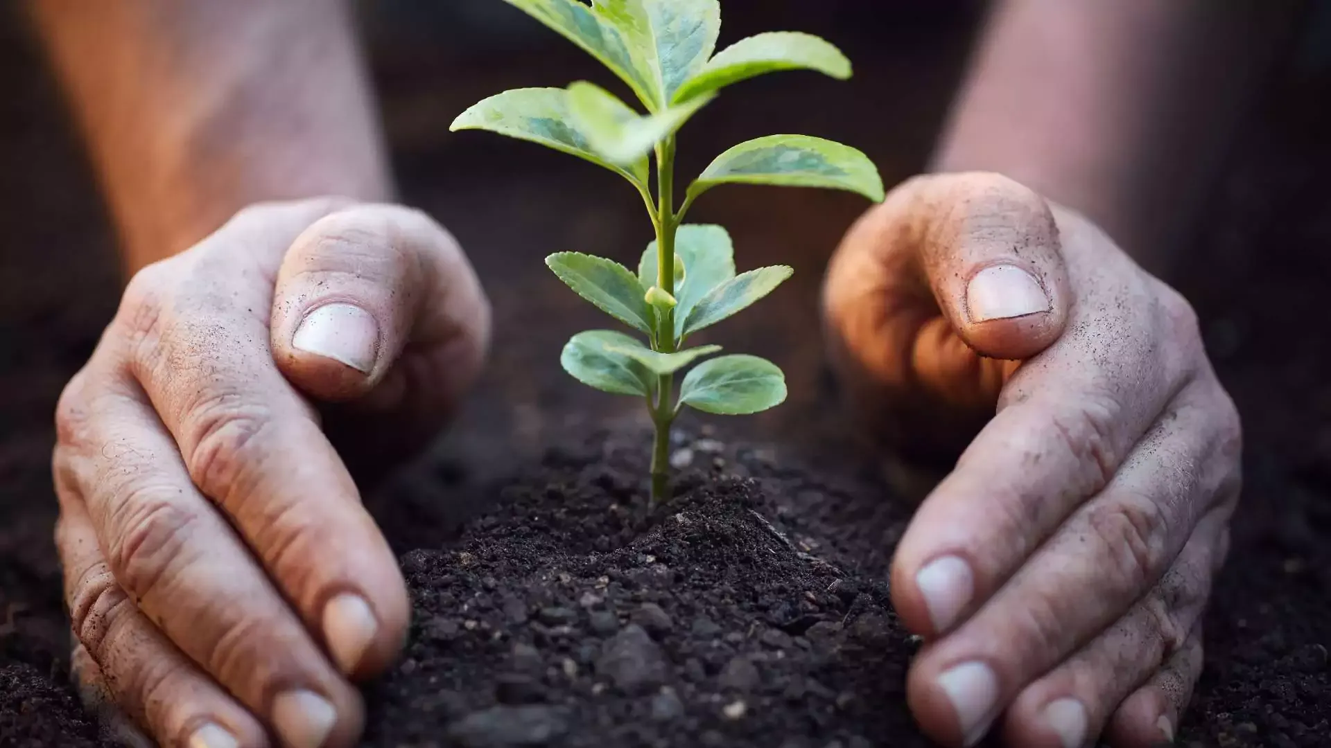 how to protect nature