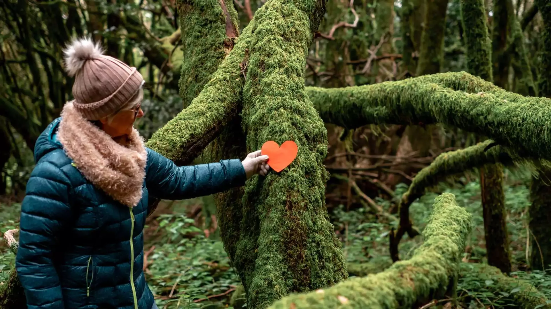 Environmental Protection