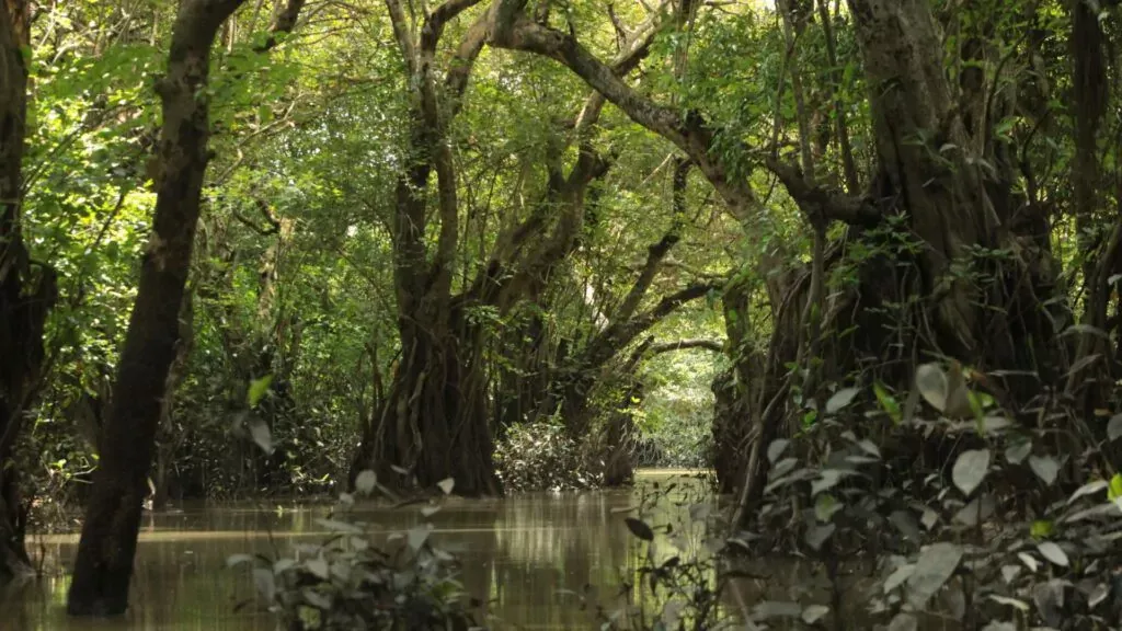 biodiversity hotspots