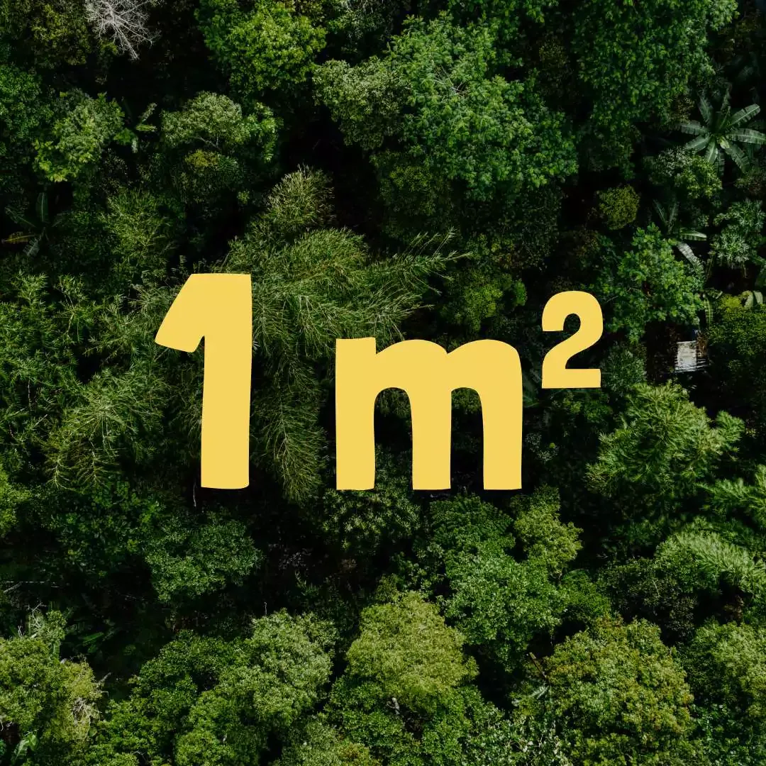 Free Rainforest Protection